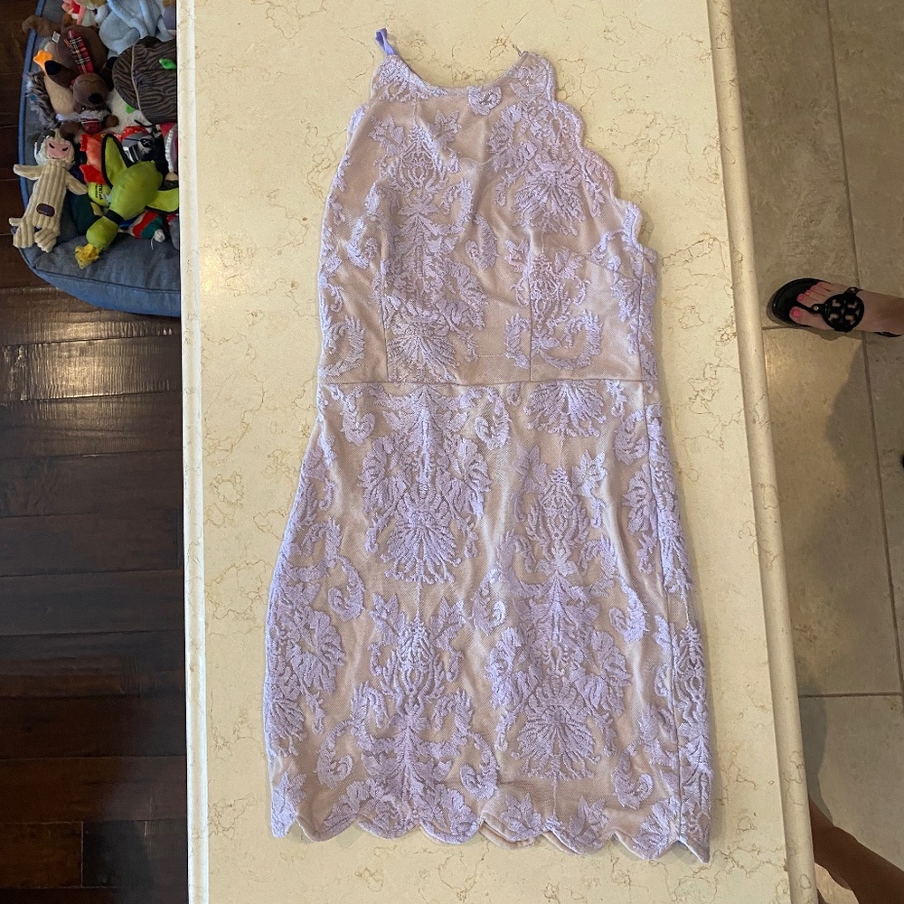 Hello Molly, size 10, lavender and tan lace dress